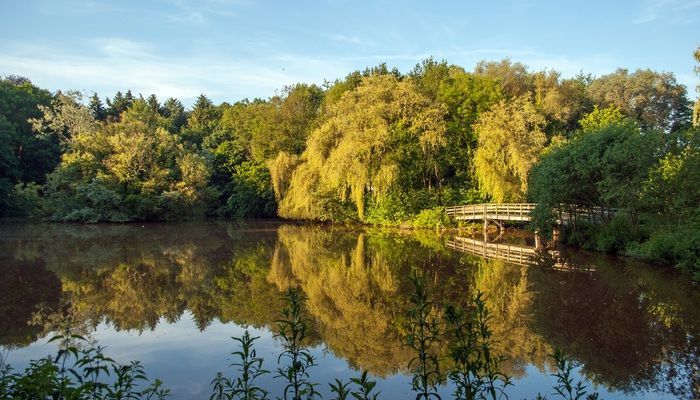 Park Enschede