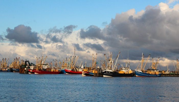 Haven Lauwersoog