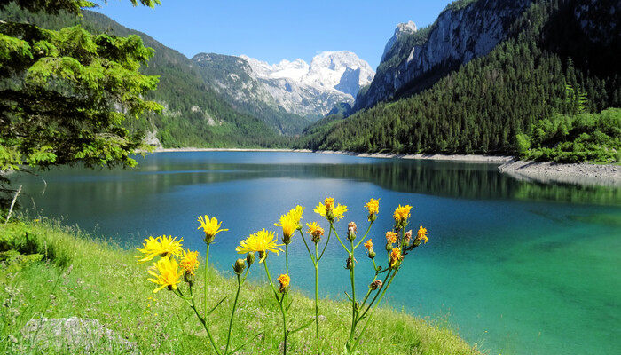 Gosausee