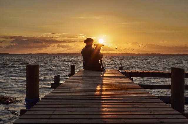 Hund Sonnenuntergang