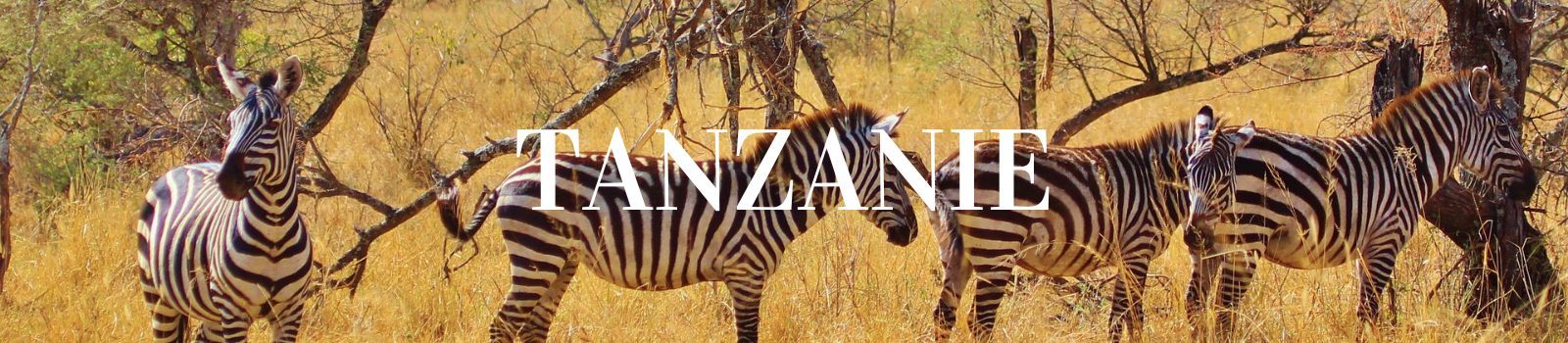 Voyage safari en Tanzanie