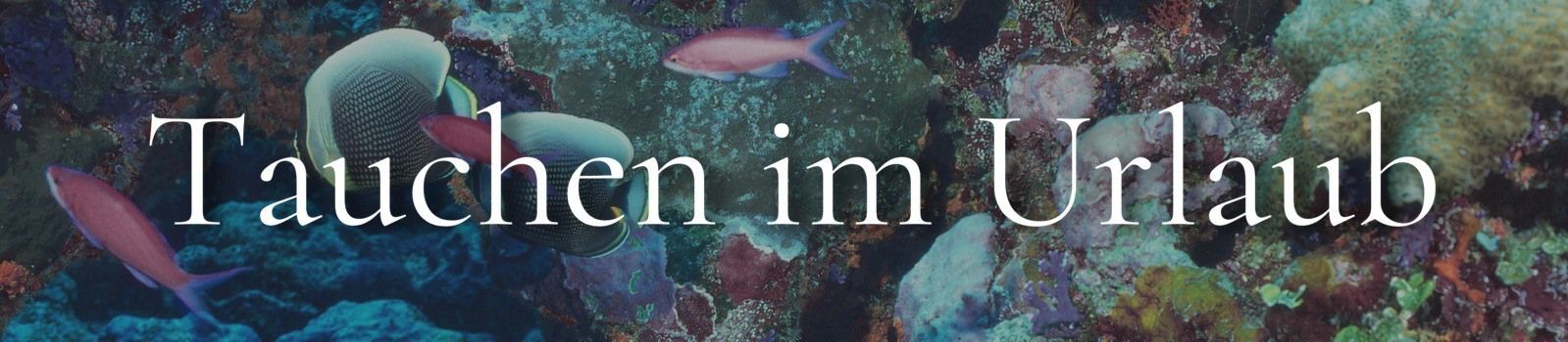 Tauchurlaub Banner