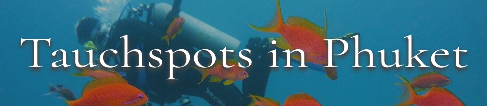 Tauchspots Phuket Banner