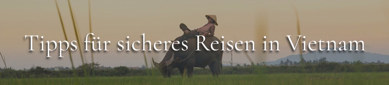 Vietnam Tipps Banner