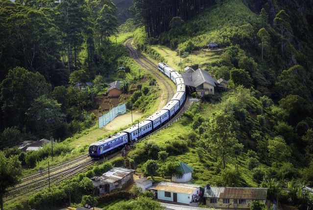 Zug fährt durch Landschaft