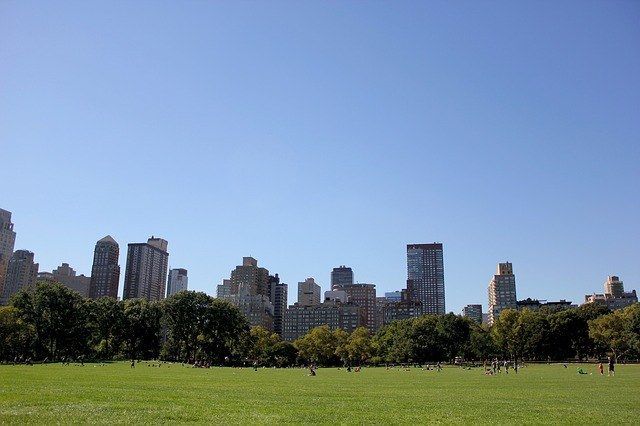 Central Park NY