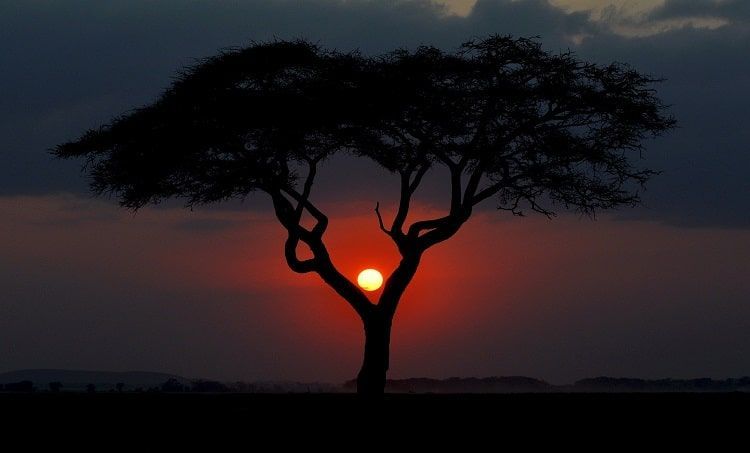 Coucher Soleil Kenya