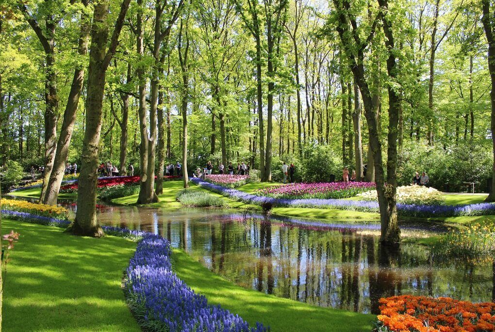 Things to Do in The Netherlands