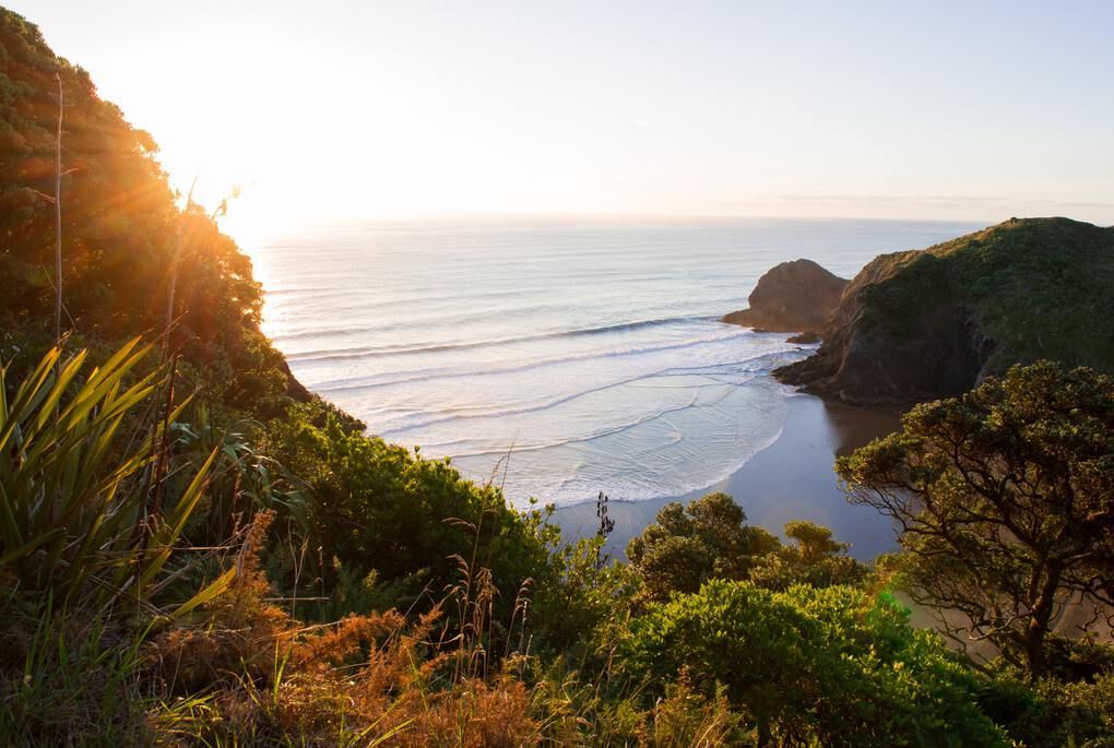 New Zealand coast line