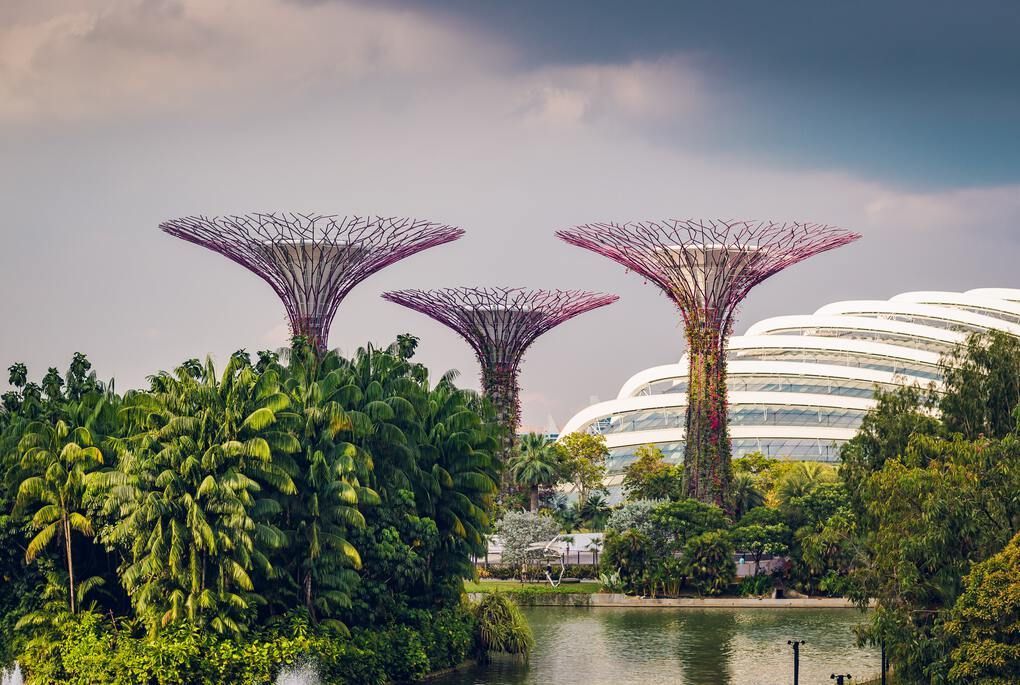 Singapore's Garden by the Bay