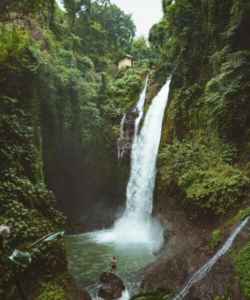 Man standing by waterfall in the jungle